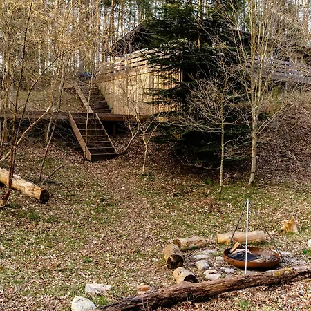 Cozy Times In Log House Amongst Trees *