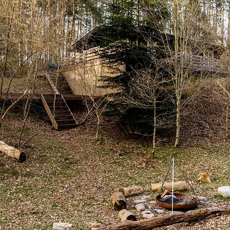 Cozy Times In Log House Amongst Trees