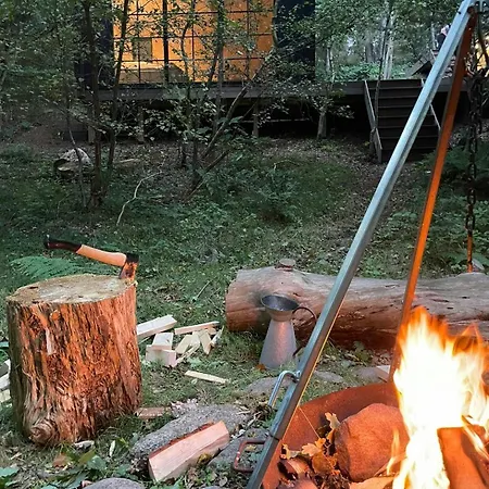 Cozy Times In Log House Amongst Trees *