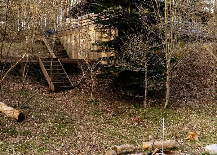 Cozy Times In Log House Amongst Trees