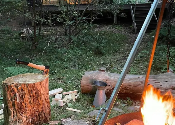 Cozy Times In Log House Amongst Trees *